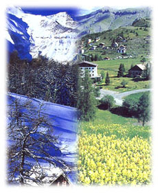Valberg l'Hiver et L'Et�